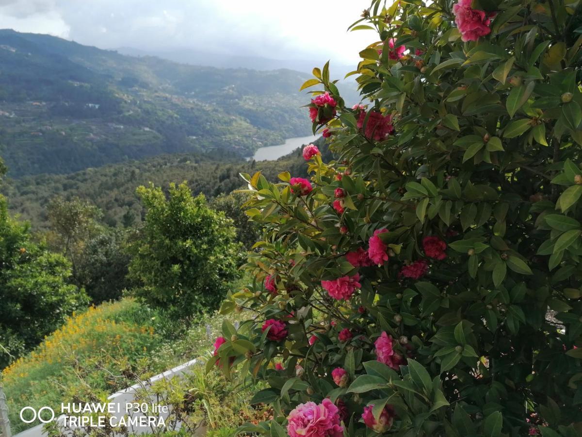 Casa Douro Terrace Villa Baiao Luaran gambar